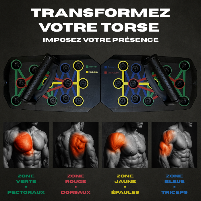 PowerPush Pro Exalyone – planche à pompes avec zones de couleurs : vert pectoraux, rouge dos, jaune épaules et bleu triceps, pour un entraînement ciblé à domicile.